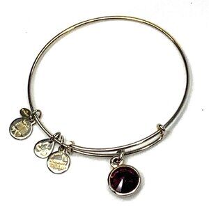 Alex and Ani February Amethyst Birthstone Charm Bracelet Silver 2"- 3.5"